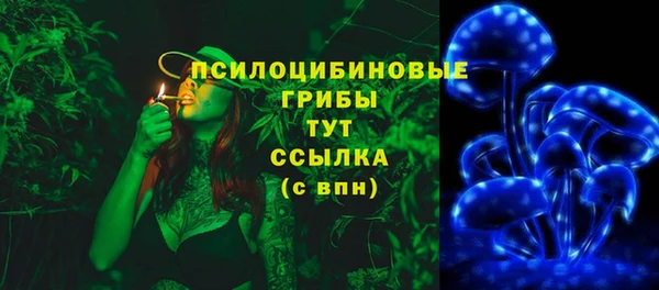 PSILOCYBIN Волоколамск